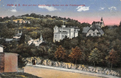 Halle blick auf den - halle,